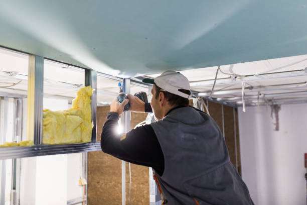 Best Insulation Installation Services in Mint Hill, NC