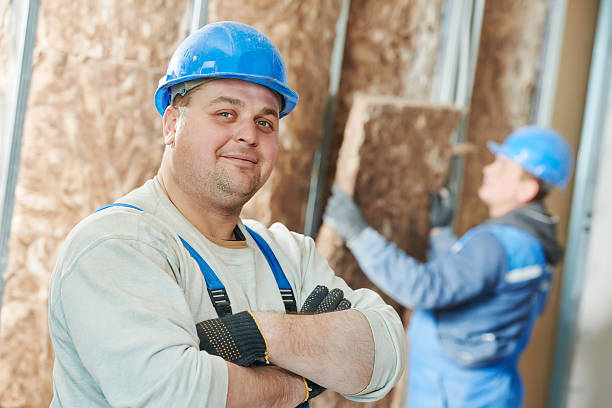 Best Insulation Installation Services in Mint Hill, NC
